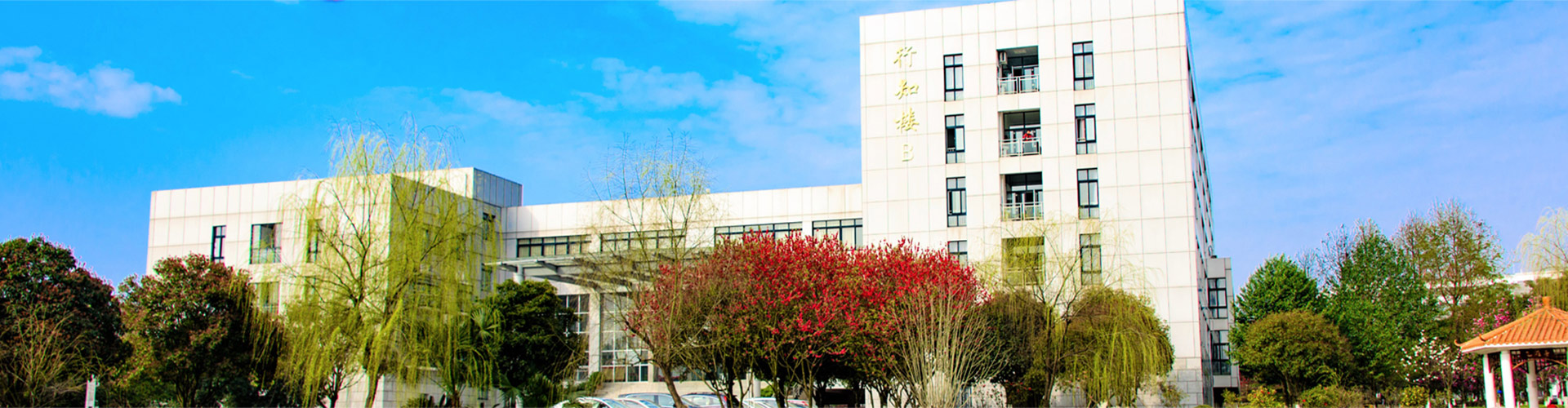 太阳成集团122ccvip